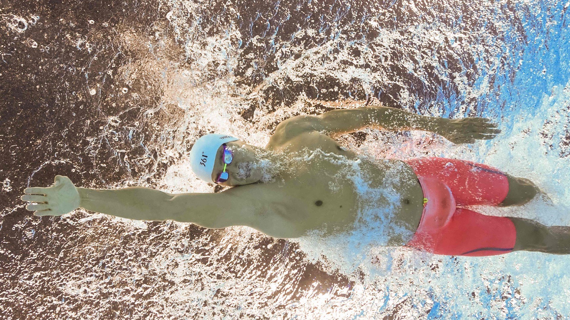 克罗地亚马术协会建立马匹基因数据库,促进马匹选育与训练。,克罗地亚 马可波罗